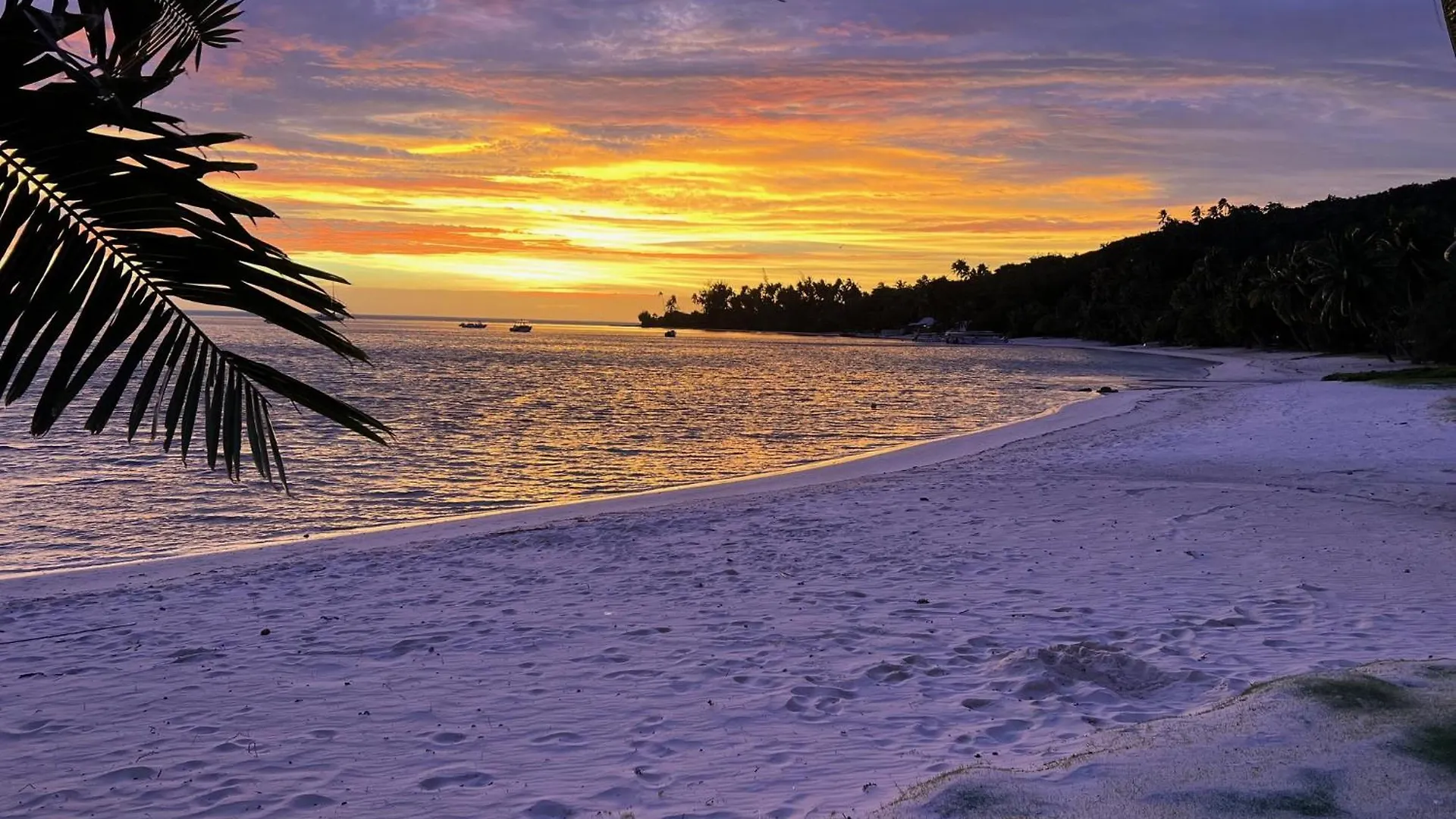 Studio Pa'Ihere - Matira Appartement Bora Bora