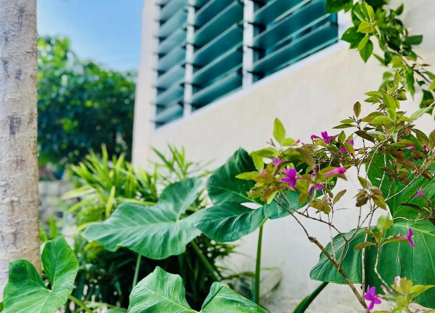 Studio Pa'Ihere - Matira Appartement Bora Bora