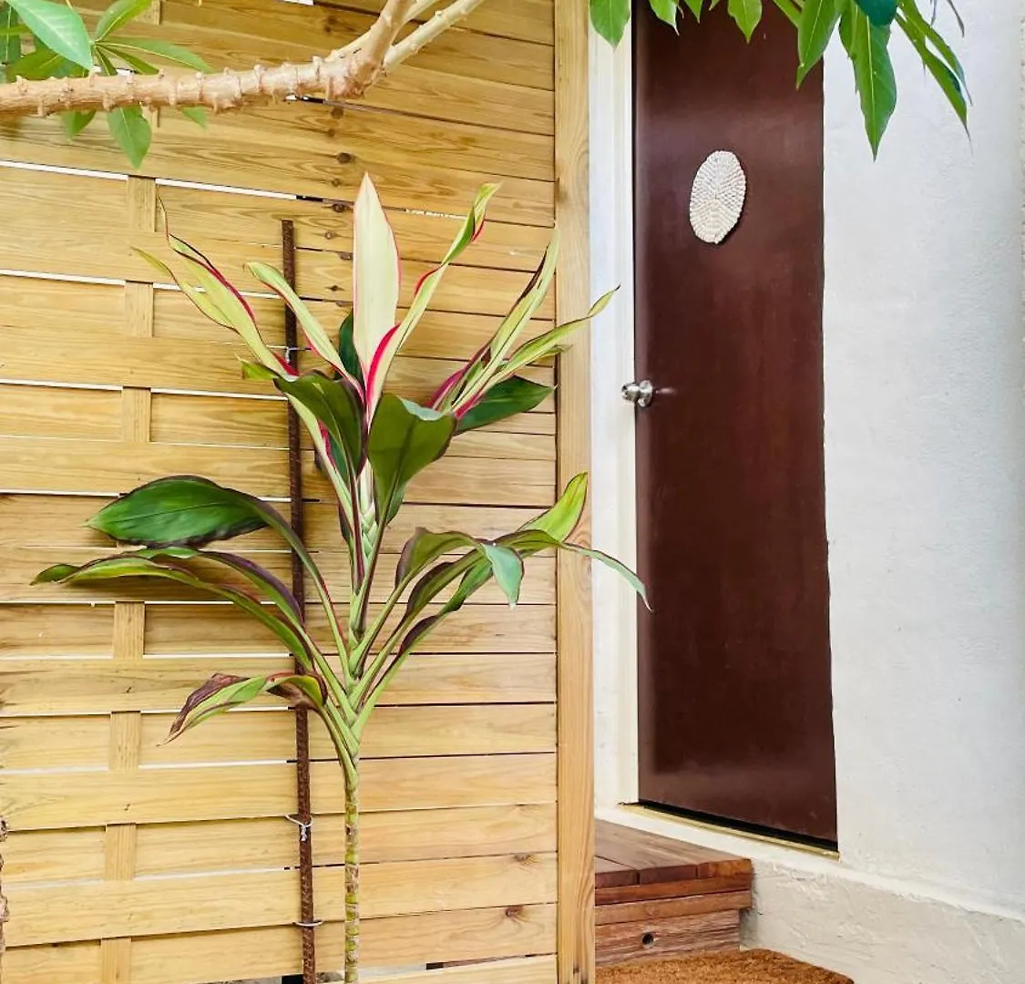 Studio Pa'Ihere - Matira Appartement Bora Bora Frans-Polynesië